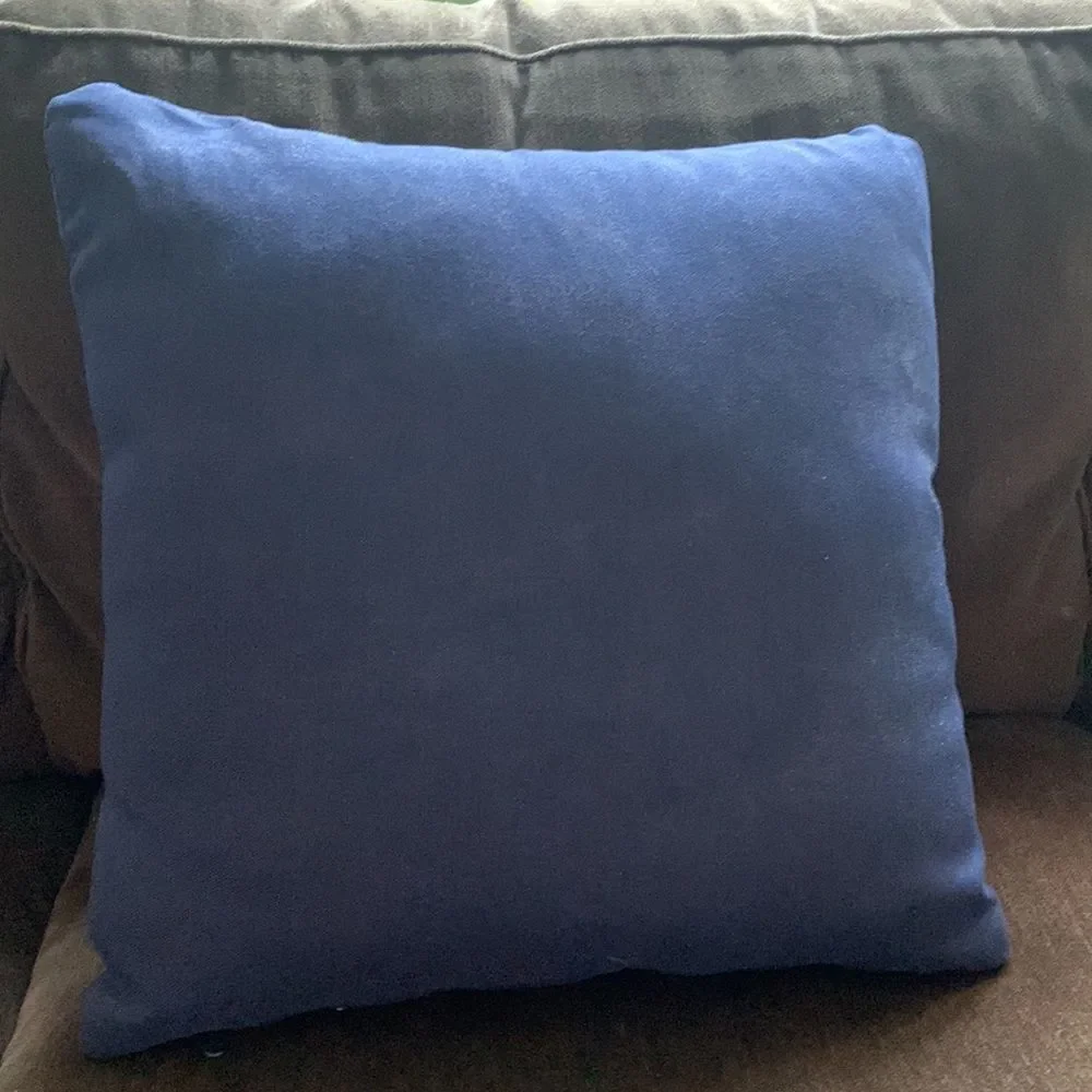 Navy Blue Outdoor Indoor Canvas Throw Pillow  - 16” Square